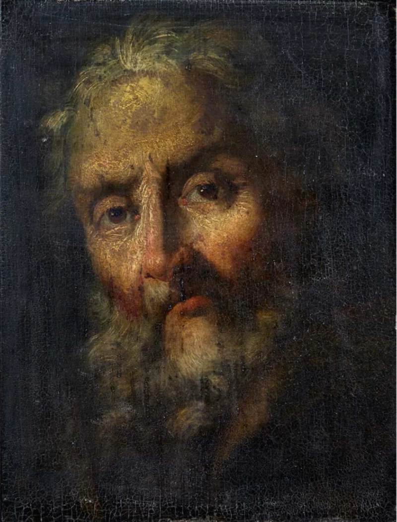 Testa di uomo con la barba - attribuito